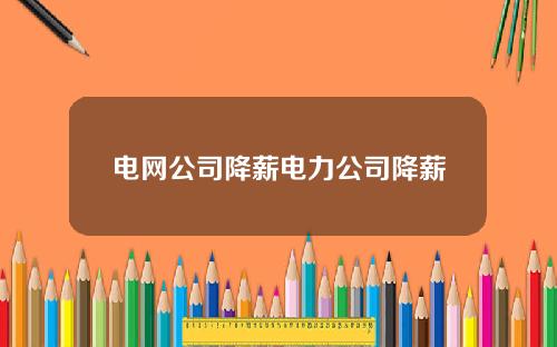 电网公司降薪电力公司降薪