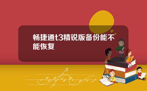 畅捷通t3精锐版备份能不能恢复