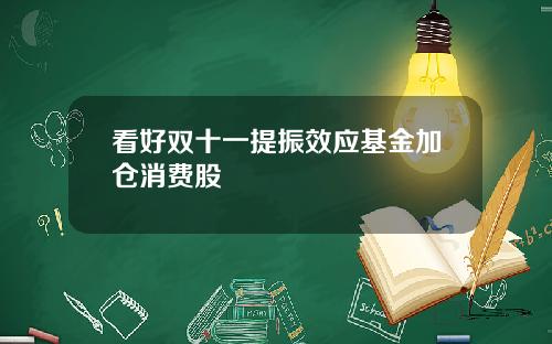 看好双十一提振效应基金加仓消费股