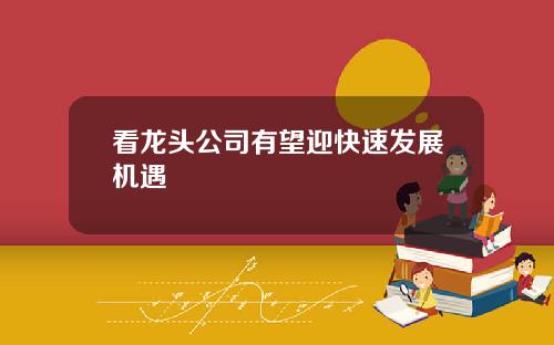 看龙头公司有望迎快速发展机遇