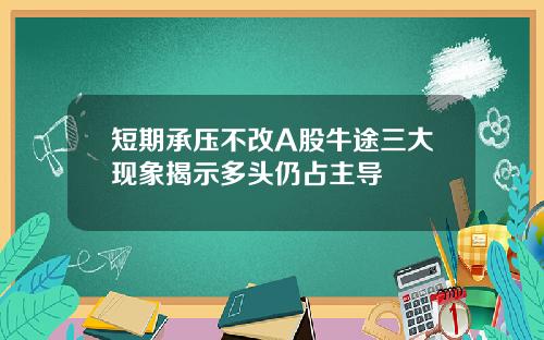 短期承压不改A股牛途三大现象揭示多头仍占主导