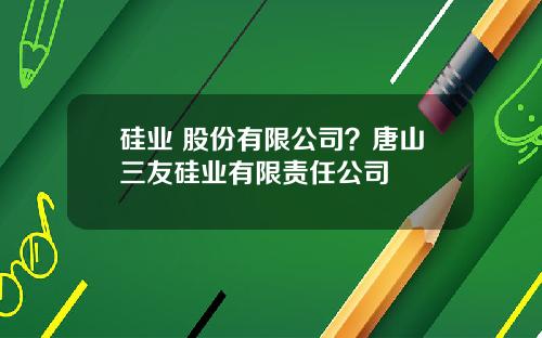 硅业 股份有限公司？唐山三友硅业有限责任公司
