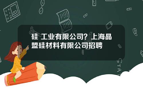 硅 工业有限公司？上海晶盟硅材料有限公司招聘