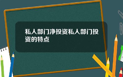 私人部门净投资私人部门投资的特点