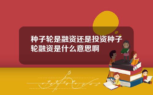 种子轮是融资还是投资种子轮融资是什么意思啊