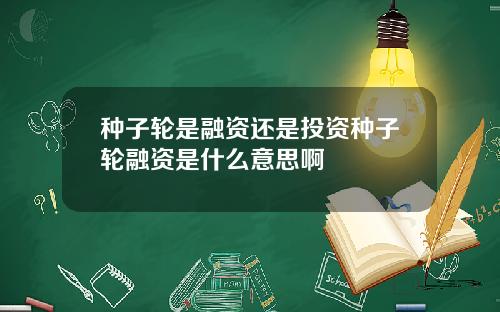 种子轮是融资还是投资种子轮融资是什么意思啊
