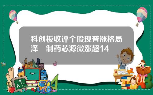 科创板收评个股现普涨格局泽璟制药芯源微涨超14