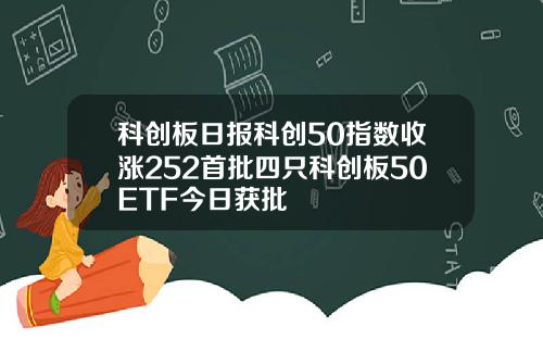 科创板日报科创50指数收涨252首批四只科创板50ETF今日获批
