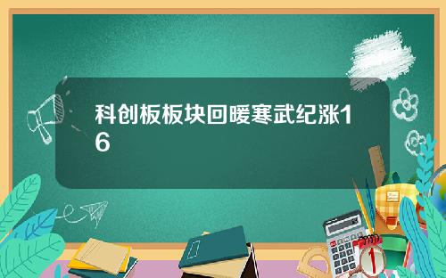 科创板板块回暖寒武纪涨16