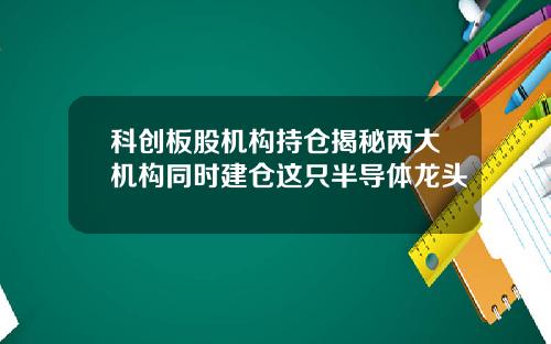科创板股机构持仓揭秘两大机构同时建仓这只半导体龙头