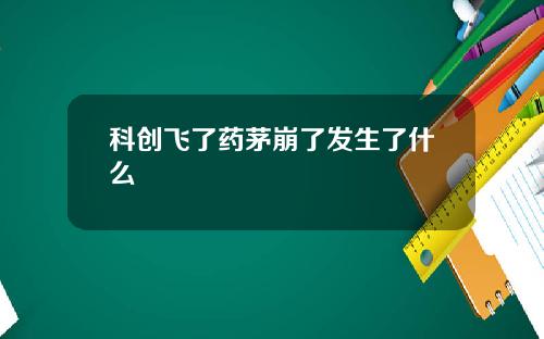 科创飞了药茅崩了发生了什么