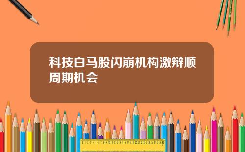 科技白马股闪崩机构激辩顺周期机会