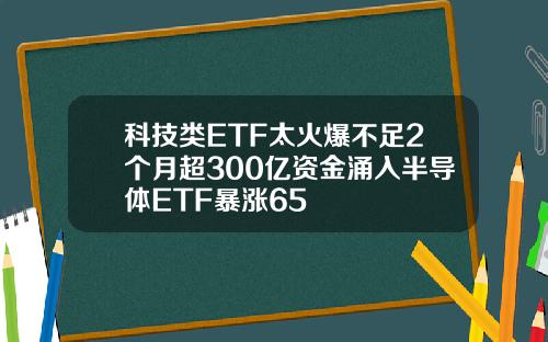 科技类ETF太火爆不足2个月超300亿资金涌入半导体ETF暴涨65