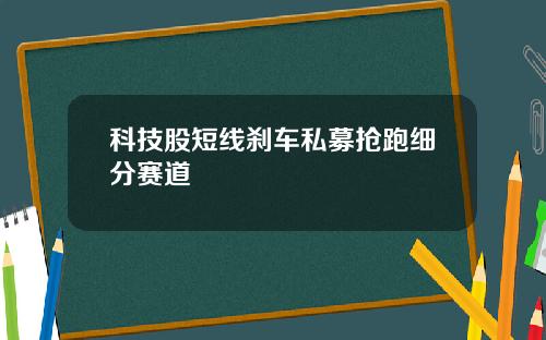 科技股短线刹车私募抢跑细分赛道