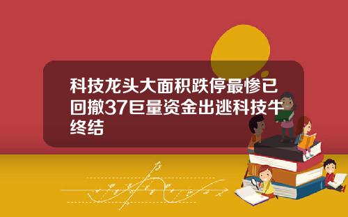 科技龙头大面积跌停最惨已回撤37巨量资金出逃科技牛终结