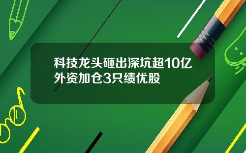 科技龙头砸出深坑超10亿外资加仓3只绩优股