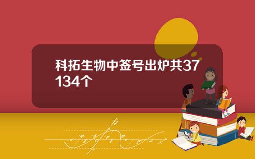 科拓生物中签号出炉共37134个