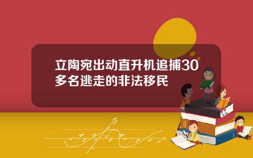 立陶宛出动直升机追捕30多名逃走的非法移民