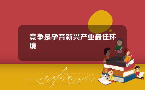 竞争是孕育新兴产业最佳环境
