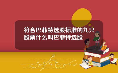 符合巴菲特选股标准的九只股票什么叫巴菲特选股