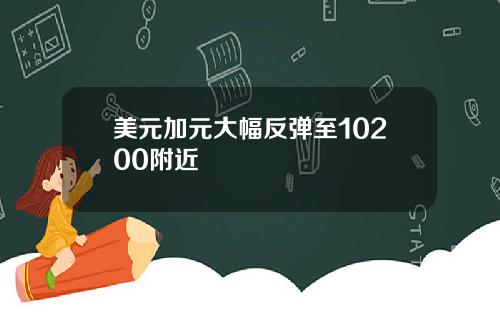 美元加元大幅反弹至10200附近