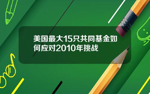 美国最大15只共同基金如何应对2010年挑战