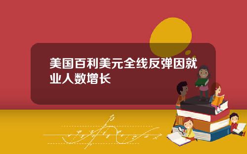 美国百利美元全线反弹因就业人数增长