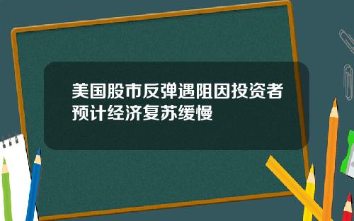 美国股市反弹遇阻因投资者预计经济复苏缓慢