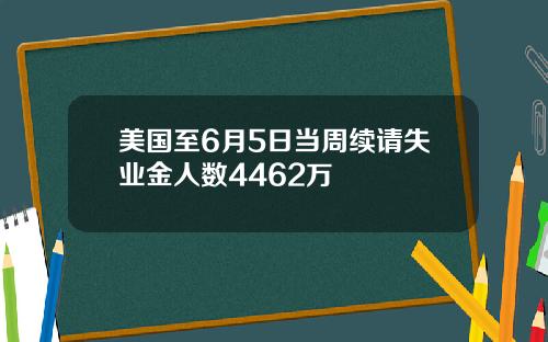 美国至6月5日当周续请失业金人数4462万