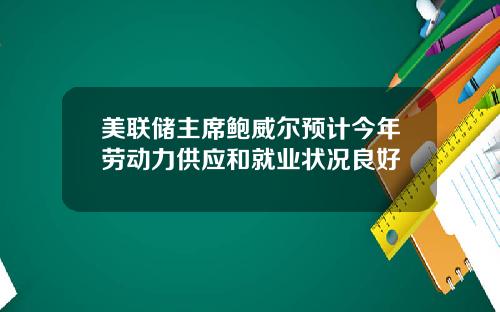 美联储主席鲍威尔预计今年劳动力供应和就业状况良好
