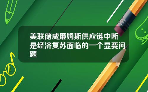 美联储威廉姆斯供应链中断是经济复苏面临的一个显要问题