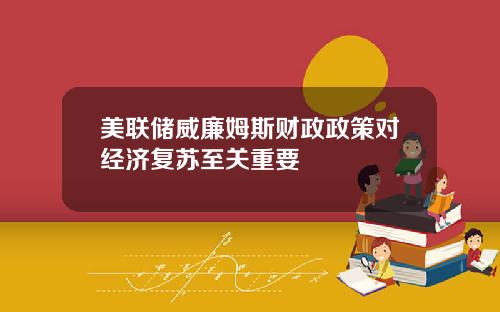 美联储威廉姆斯财政政策对经济复苏至关重要