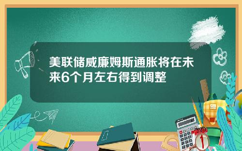 美联储威廉姆斯通胀将在未来6个月左右得到调整