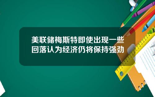 美联储梅斯特即使出现一些回落认为经济仍将保持强劲