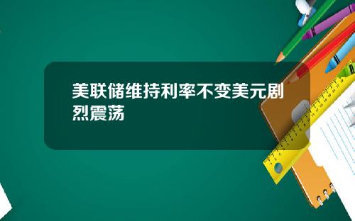 美联储维持利率不变美元剧烈震荡