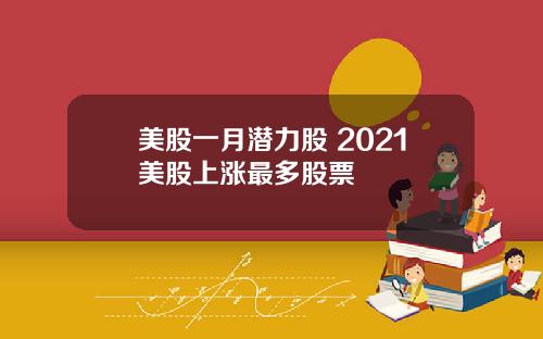 美股一月潜力股 2021美股上涨最多股票