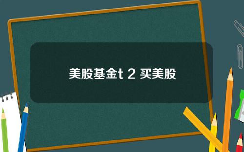 美股基金t 2 买美股
