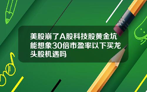 美股崩了A股科技股黄金坑能想象30倍市盈率以下买龙头股机遇吗