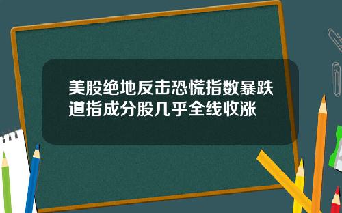 美股绝地反击恐慌指数暴跌道指成分股几乎全线收涨