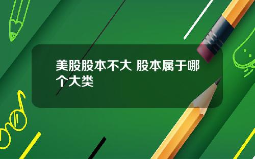 美股股本不大 股本属于哪个大类