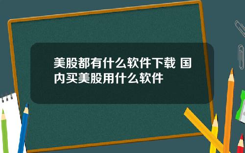 美股都有什么软件下载 国内买美股用什么软件