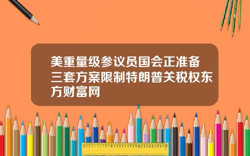 美重量级参议员国会正准备三套方案限制特朗普关税权东方财富网