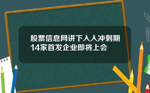 股票信息网讲下入入冲刺期14家首发企业即将上会