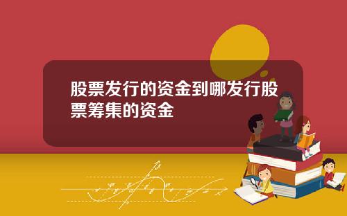 股票发行的资金到哪发行股票筹集的资金