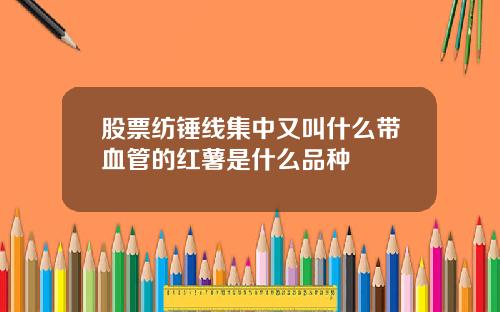 股票纺锤线集中又叫什么带血管的红薯是什么品种