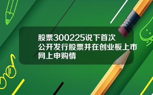 股票300225说下首次公开发行股票并在创业板上市网上申购情