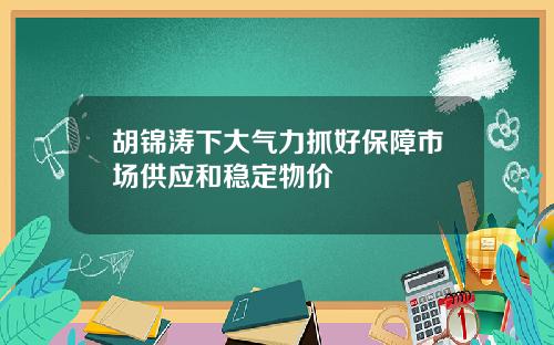 胡锦涛下大气力抓好保障市场供应和稳定物价