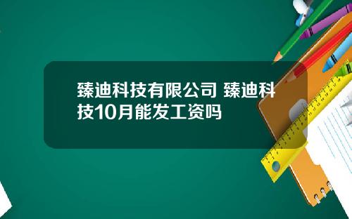 臻迪科技有限公司 臻迪科技10月能发工资吗