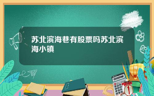 苏北滨海巷有股票吗苏北滨海小镇