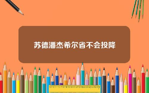苏德潘杰希尔省不会投降